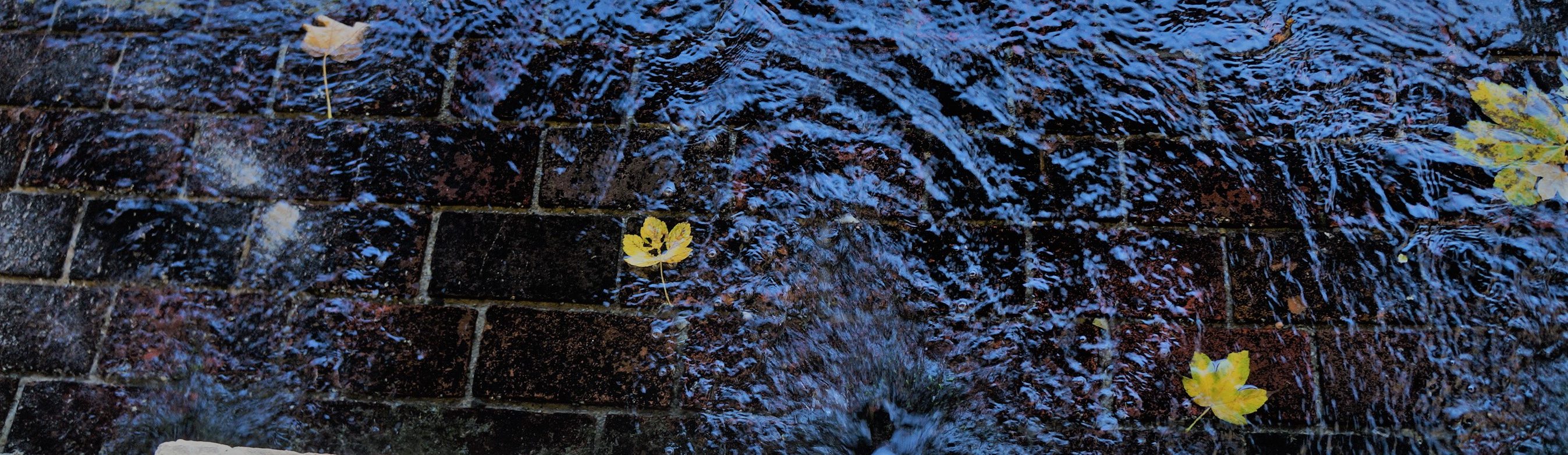 L'eau tissée des lavoirs